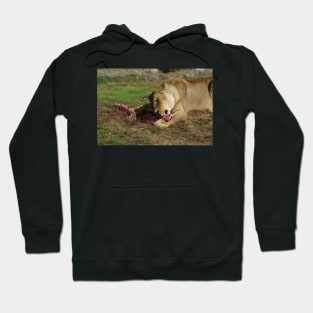 Will The Lion Share Her Meat? Hoodie